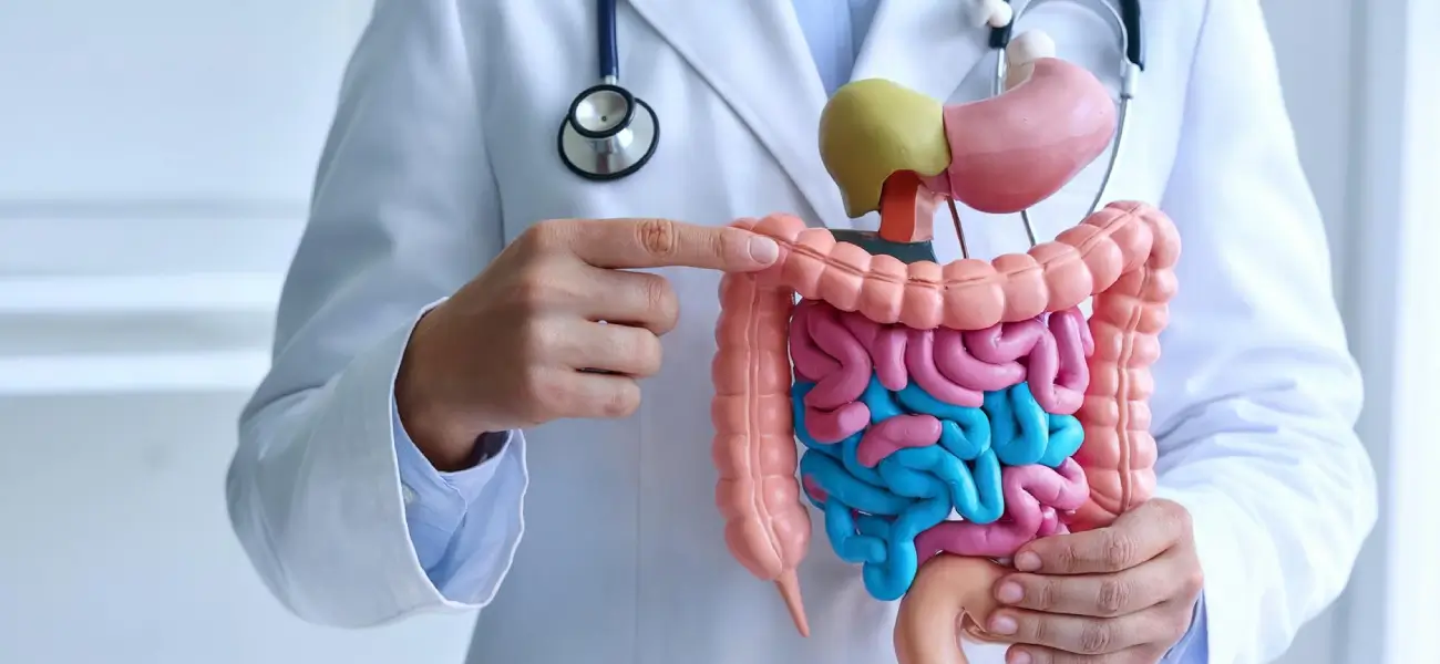 Gastroenterology